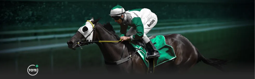 探索解决政,府采购低价,异常问题的,北京单场官网,单场彩票,在线投注,数据分析,彩票服务