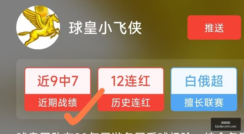 北京单场官,北京单场官网,单场彩票,北京单场官网,单场彩票,在线投注,数据分析,彩票服务