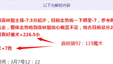 霍華德揭露：因支持巴勒斯坦發推文，NBA一度考虑將其除名